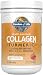 Garden of Life Multi-Sourced Collagen Turmeric for Joints & Mobility - Apple Cinnamon, 20 Servings - 10g Type I, II & III Peptides, 60mg Turmeric Curcuminoids & Probiotics - Gluten Free, Keto & Paleo