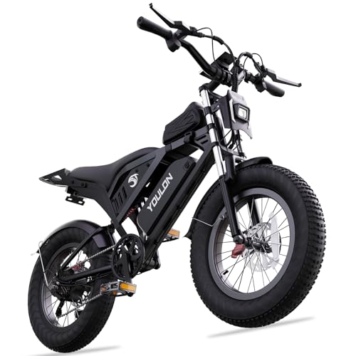 Electric Bike for Adults/Teens, UL2849
