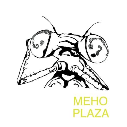 Meho Plaza [Audio CD] Meho Plaza