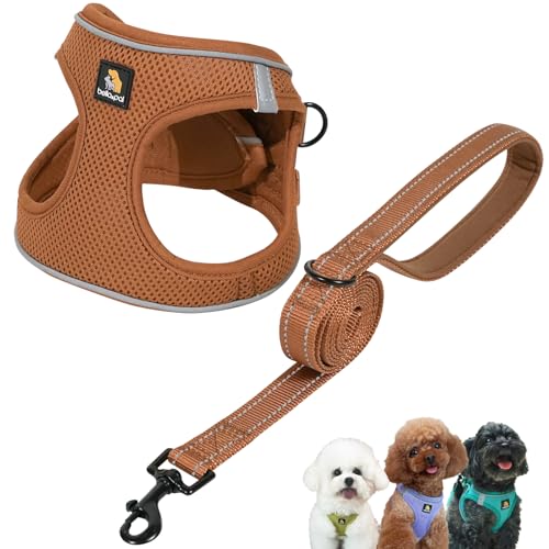 BELLA & PAL Set di pettorina e guinzaglio per cani, pettorina per cuccioli, in rete traspirante con strisce riflettenti, gilet antitiro per cuccioli, cani di taglia XS e piccola, color moka, M