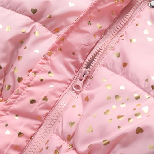 Little Girls Winter Dress Coat Fleece Outwear Puffer Jackets Kids Hooded Clothes4