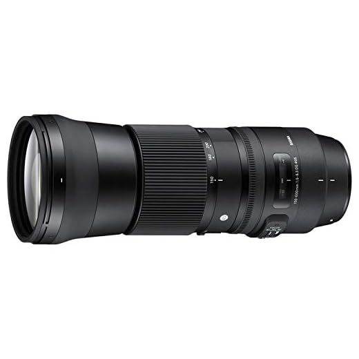 Sigma 150-600mm Contemporary Lens Bundle