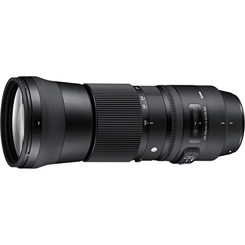 Amazon.com : Sigma 150-600mm f/5-6.3 DG OS HSM Contemporary