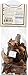 FungusAmongUs Dried Mushrooms, Organic Porcini, 1 Ounce Unit
