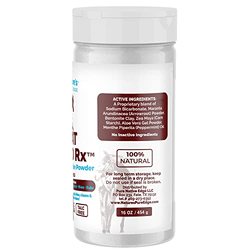 Coat-Guard-Rx-Large-16-oz-Daily-Preventative-Powder-for-Horses-Coat-and-Skin-Treatment-Dry-Shampoo-for-Horses