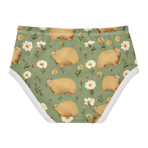 Wusikd Capybaras Flower Girls' Underwear Cotton Green Girls Briefs Soft Toddler Underwear 2T2
