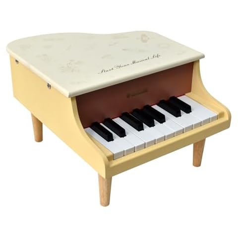 MUSICUBE Kids Piano 18 Keys Grand Piano for 3-7 Years Old Beginner Girls Boys First Mini Piano Toys Educational Musical Instrument Gift Choice (Range: C4-F5) Cover