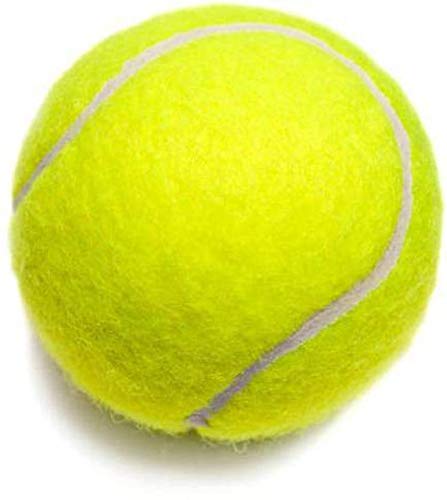 Venus Gems Tennis Cricket Ball (Pack of 2, Green) (B07PWQHPL8) Amazon Price History, Amazon Price Tracker