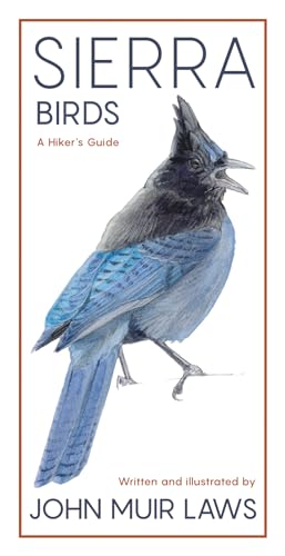 Sierra Birds: A Hiker's Guide