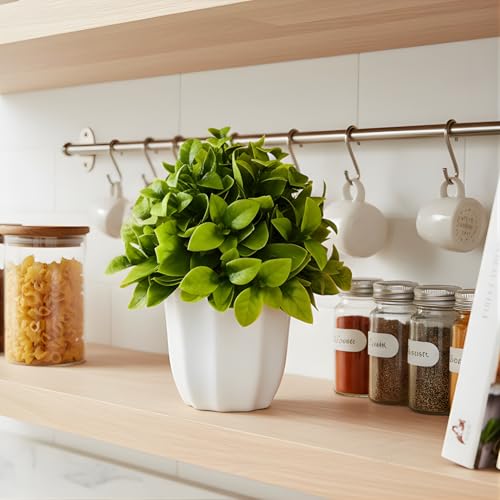 Image of fancymart Artificial Citrus Leaves Green Bunch in Pot - 22 cm Height, Perfect for Tabletop Decoration | Ideal for Home & Office Decor