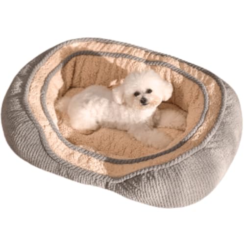 室内猫用キャットベッド 犬小屋 オールシーズン対応 ユニバーサルドッグマット 冬用 厚手 テディ 小型犬小屋 快適 通気性 滑り止め底 (グリーン、ミディアム)