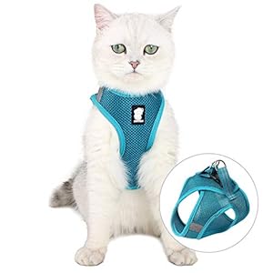 LIANZIMAU - Set Pettorina e Guinzaglio per Gatti: Antifuga, Riflettente, Regolabile, in Morbida Rete Imbottita, per Cuccioli e Gattini, Ideale per Passeggiate all'Aperto - immagine 5