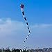 Solid Soft Inflatable 55 Meters Snake Kite with Long Tail for Adults Easy to Fly