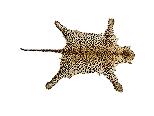 Alfombra Sintetica Imitación Leopardo 110x80cm | Ideal para Decoración de Habitaciones | Alfombra o Moqueta Fabricada en Suelo PVC Sintasol | Alfombra Original | Una opción Muy Decorativa