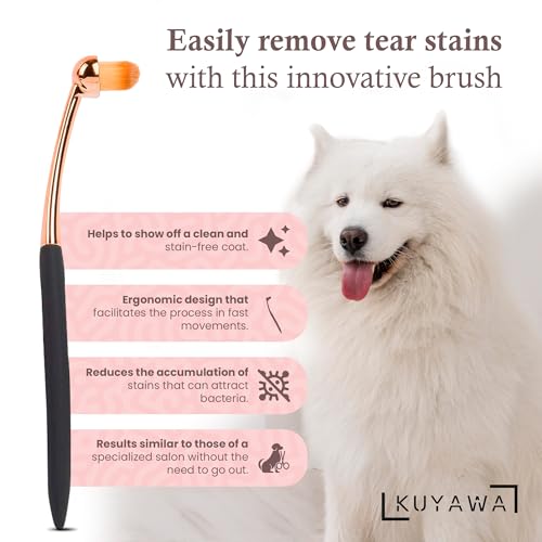 Image of Eye Cleaner Brush Pack of Two for Dogs and Cats | Large & Small Sizes | Effective Tear Stain Cleaner | Washable Superfine Fiber Hair | Long Tapered Bristles | Ergonomic Handle
