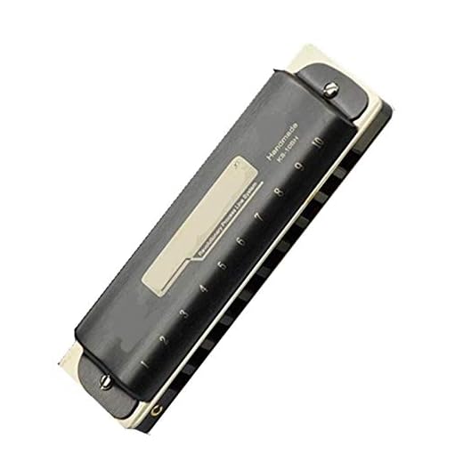 10 Agujeros Azules armónica diatónica Escala del órgano de Boca C Clave Arpa Instrumento de Viento de Madera Gaita YIJIAN