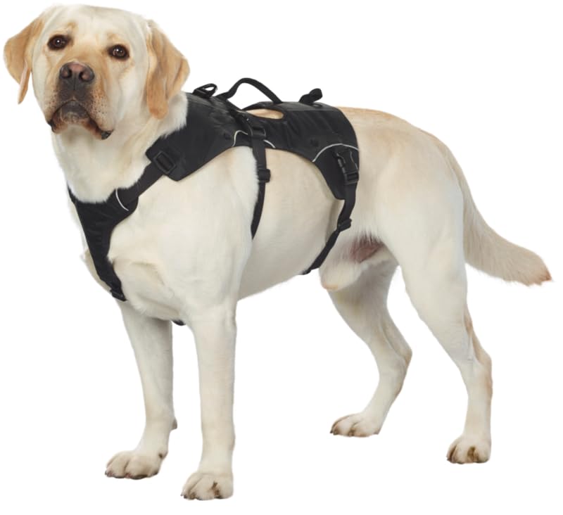 Dogs Creek Geschirr + Rucksack Travel schwarz L