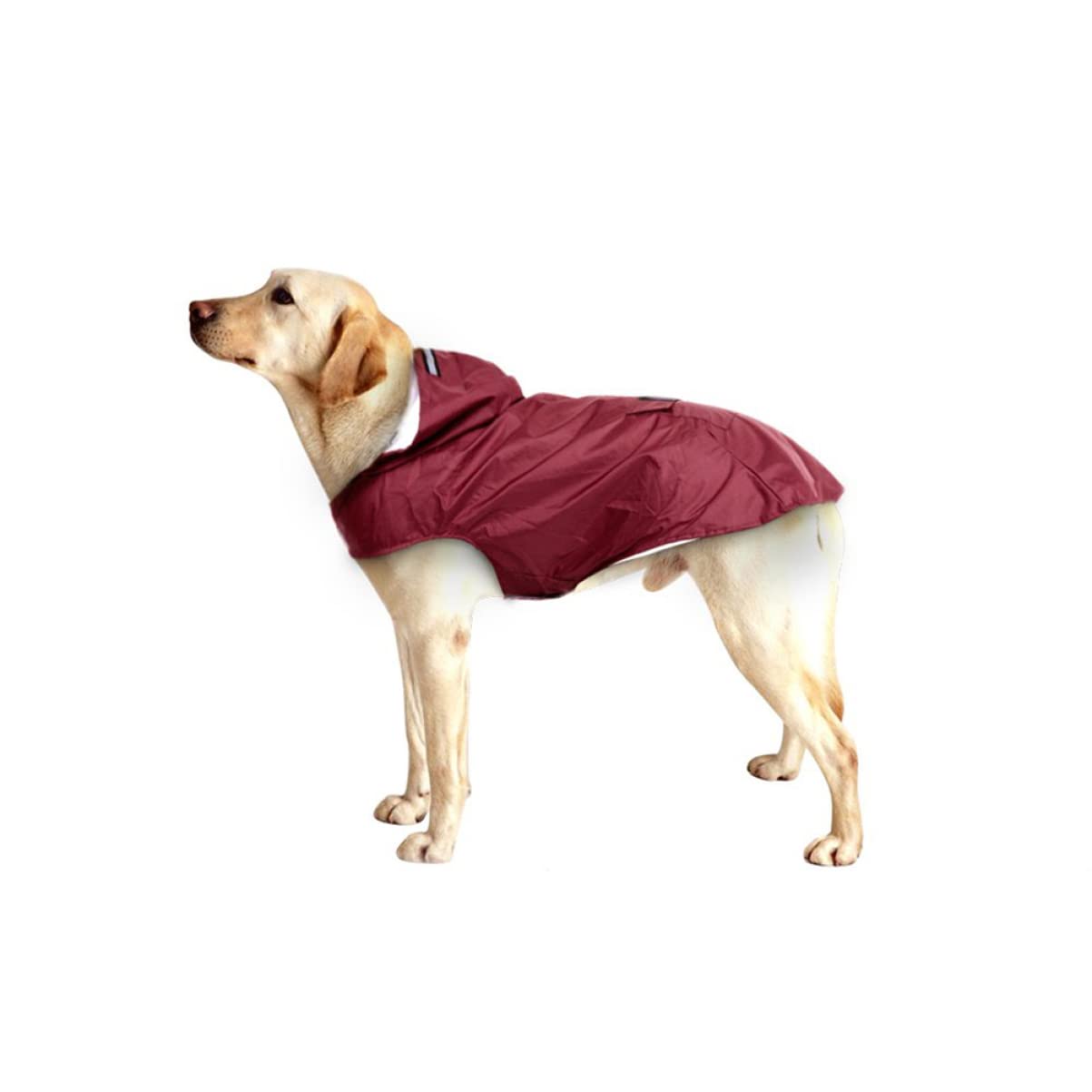minkissy 3pièces Manteau De Pluie Réfléchissant pour Chiens Vêtement Imperméable à Capuche Poncho pour Et Races Rouge