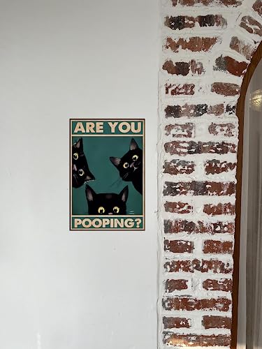 Mwbbar Vintage Tin Sign -Are You Pooping？- Black Cat Metal Poster Cat Lover Gift Art Funny Cat Metal Poster Cat Lover Gift Cats And Cameras Poster Home Wall Art Decoration Retro Metal Tin Sign 8X12 Inch #TOP4