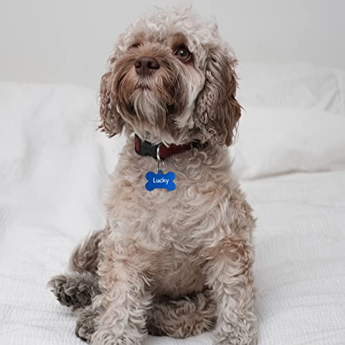 Hundemarke Engravo mit Gravur in Blau 38mm für Hunde und Katzen