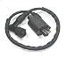 Lumix GC Ignition Coil Module Magneto For DINLI 50CC 90CC 110CC Dino Beast Diamond Back Atv Quad