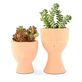 T4U 10CM Maceta de Cemento para Plantas Suculentas, Diseño de la Cara Conjunto de 2, Maceta Pequeña para Cacuts Bonsai, Decorativos Interior Maceteros Barro Hogar Oficina Mesa Ventana(Cara y Nariz)