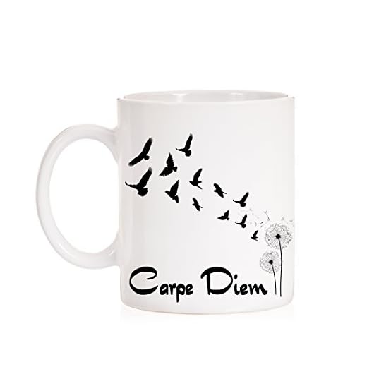Taza Carpe Diem. Taza Regalo Caja Decorativa.