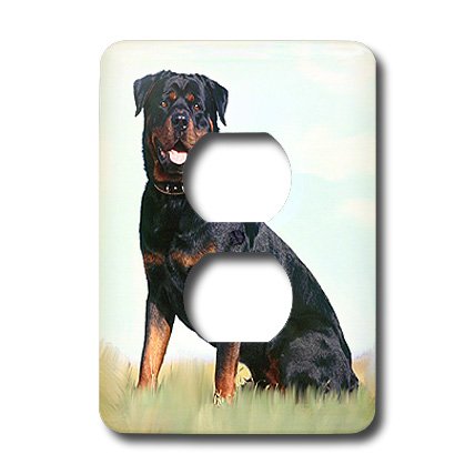 Rottweiler 2 prises de prise 3dRose Plaque murale double pour décoration intérieure