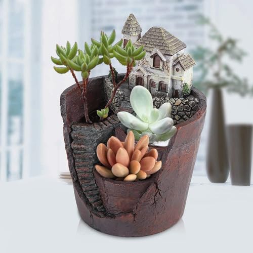 Pots de fleurs succulentes pour décorer un bureau moderne