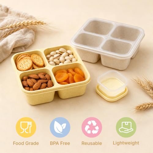 HestiaSnax 4 Pack Bento Snack Boxes, 4 Compartments, Wheat Straw | Reusable Food Storage for Kids & Adults, Includes 4 Sauce Cups, Meal Prep for School Office Travel - image 4