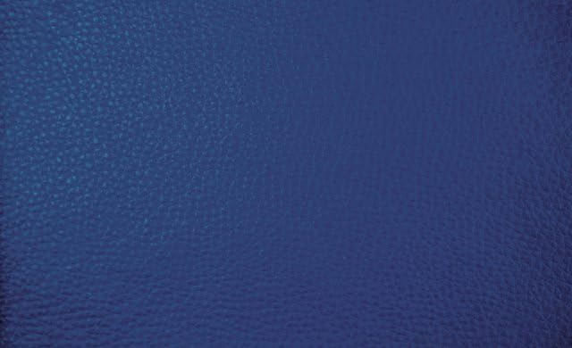 Sedia Sgabello con Ruote Girevoli Regolabile in Altezza (70-85cm) Sgabello da Lavoro per Professionisti: Studio Medico, Architetto, Tatuatore, Estetista (Ruote Parquet, Blu Ecopelle)