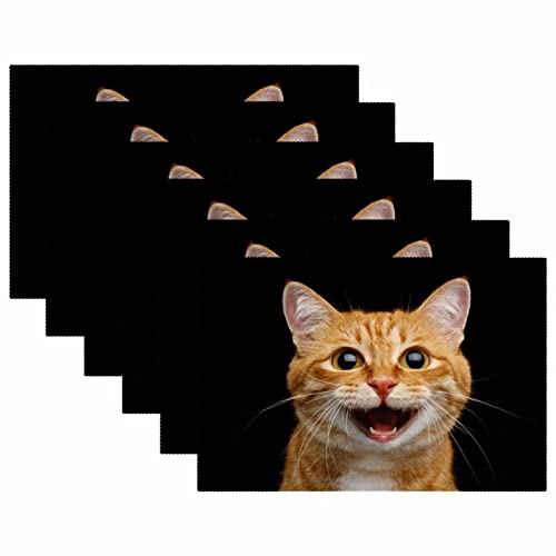 Set de table chat souriant, le cadeau parfait pour la maison