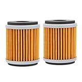 Road Passion 1S7-E3440-00 Oil Filter Compatible with Yamaha CZD300 A X-Max 300 ABS (Crankcase Air