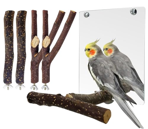 BNOSDM 5PCS Bird Mirror with Perches Stand Parrot Natural Wood Stick Perches Forked Perch Branch Parakeet Toy...