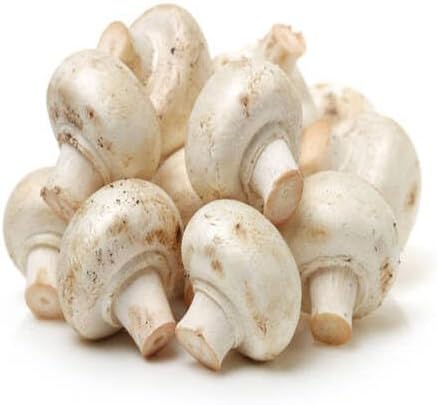 90pcs White Mushroom Vegetable Seeds