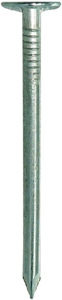 Grip-Rite Electro-Galvanized Roofing Nails - Secure Asphalt Shingles, Insulation Board, and Felt - 2 - 1 lb Pack - 2EGRFG1