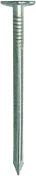 Grip-Rite Electro-Galvanized Roofing Nails - Secure Asphalt Shingles, Insulation Board, and Felt - 2 - 1 lb Pack - 2EGRFG1