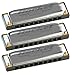 Hohner Harmonica Harmonica, Silver (M2013xp)