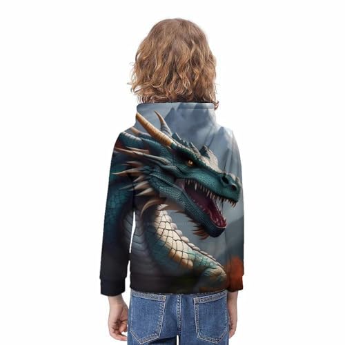 Sweat à capuche enfant imprimé 3D dragon pull cool et drôle manches longues