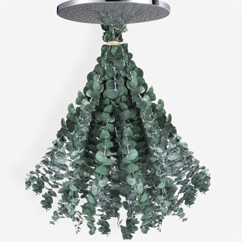 KaKaPops 25 Pcs Dried Eucalyptus for Shower, 100% Natural Fresh Eucalyptus Stems Hanging, 17