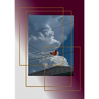 Living in Loving Chaos: John Hancock College Prep Literary Journal