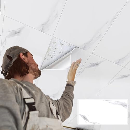 Minglez Dalle de Plafond Dalles de Plafond Suspendu (Lots de 4, 5, 12 ou 15), Cache-Dalles de Remplacement pour Salle de Classe, sous-Sol ou Salle de Bain, Panneaux de Plafond à Coller(H,8pack)