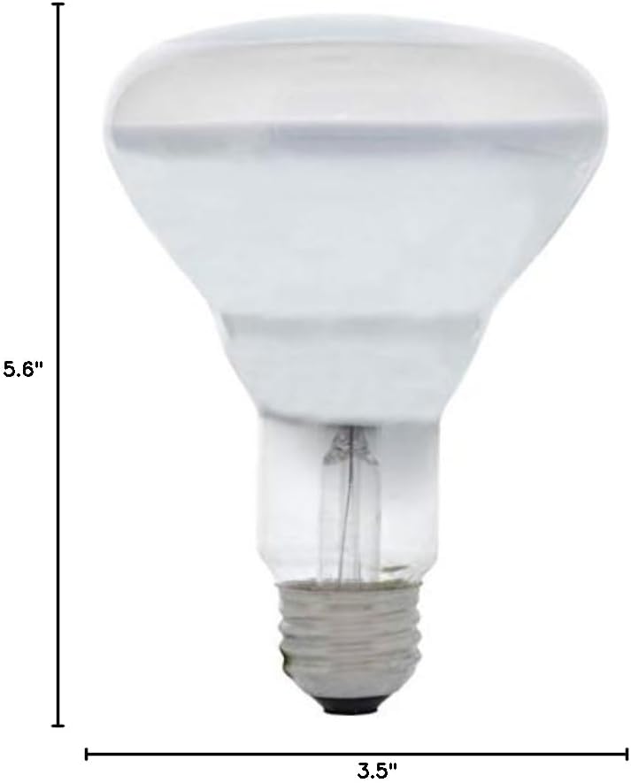 LEDVANCE 65 Watt Flood Lamp