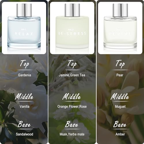 Difusor Aromático 100ml con 3 Varillas miniatura 5