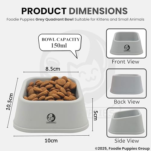 Image of Foodie Puppies Cat Food and Water Feeder - 150ml (Grey Quadrant, Pack of 2) | Durable, Anti Vomiting, Healthy Cat Bowl for Persian Cat Prevent Tipping Over | Elevated Feeder for Cats and Small Dogs