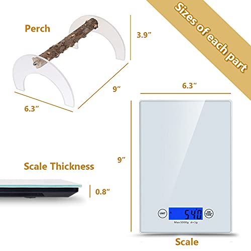 Image of Parrot Training Weight Scale, Accurate Bird Measure Accessories with Perch for Macaw Cockatiel, Range 1G - 5000G