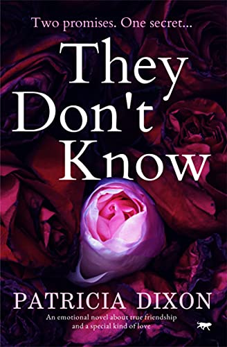 They Don't Know view 2