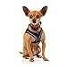 YOULY Black Reflective Mesh Dog Harness, XX-Small/X-Small