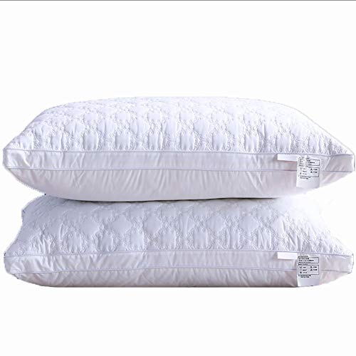 ClothHouse Almohadas De Terciopelo De Poliéster Almohada De La Colección del Hotel Funda Hipoalergénica De Algodón 100%, Soporte Medio Firme, 44 X 70 Cm, Paquete De 2, Lavable