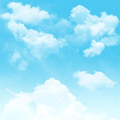 YongFoto 1,5x1m Sfondo fotografico con cielo blu e nuvole